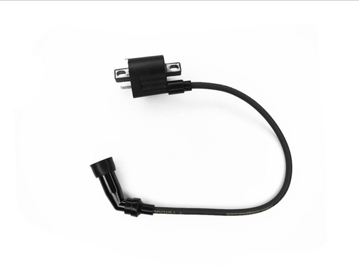 [42AY238003N] BOBINA ENCENDIDO MOTO - EMPIRE TX 200 / OWEN NEW HORSE EK XPRESS